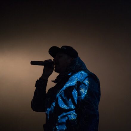 tricksingh performing on stage – hip hop artist spotlight silhouette